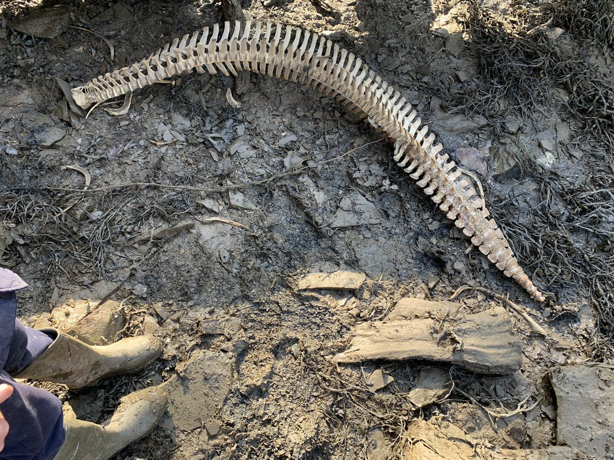 Greg Martin tweet media