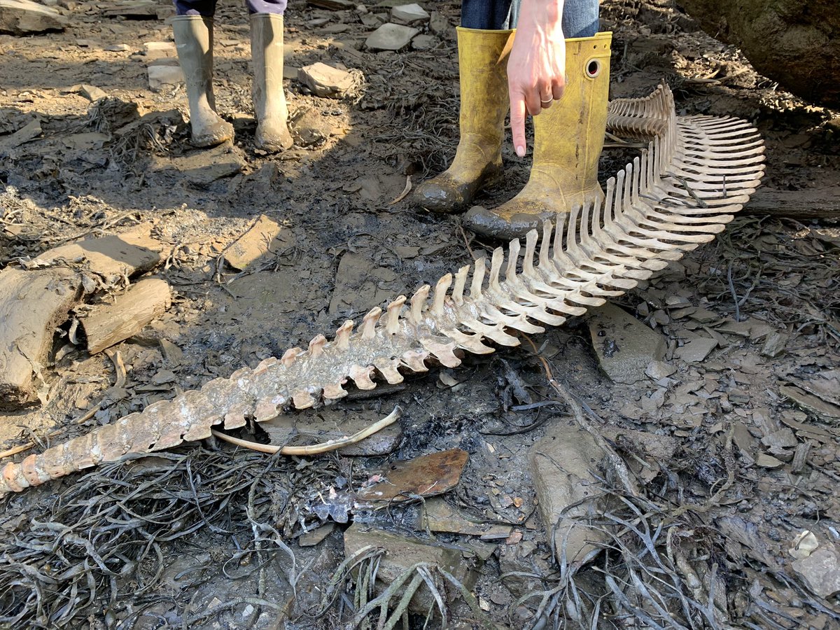 Greg Martin tweet media