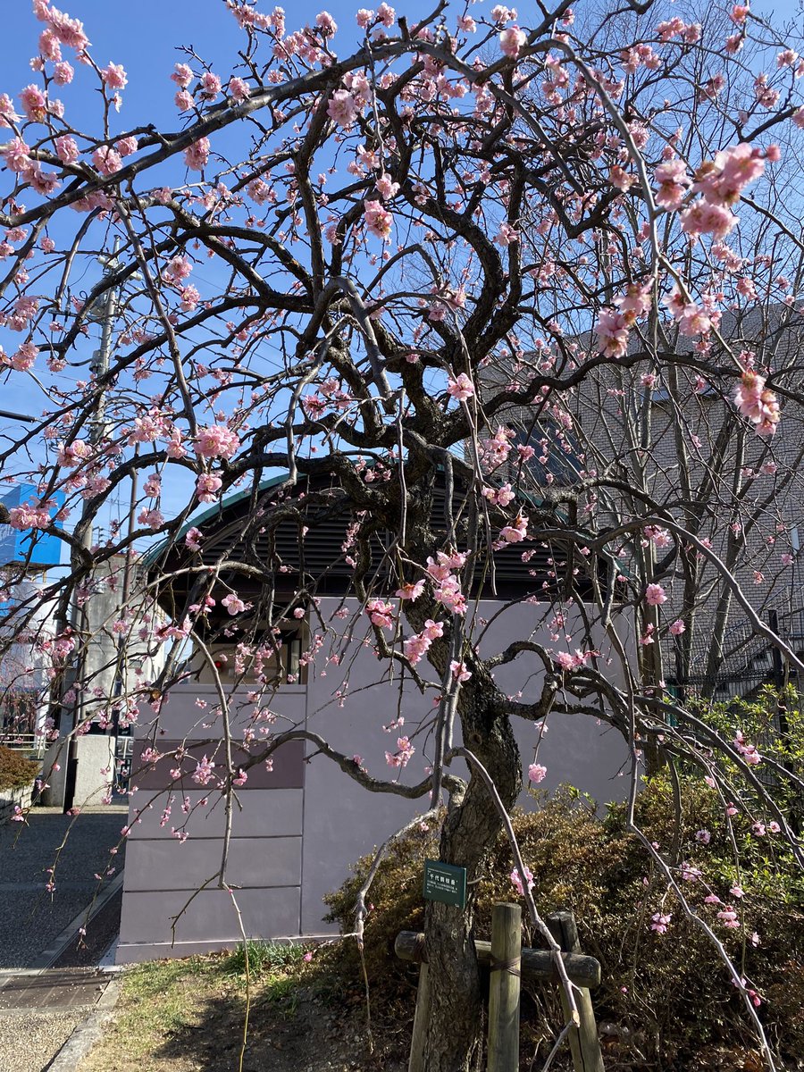 封神龍 手洗いうがい推奨仕様 ブログ書きました 東高円寺 外苑前ちほーでお仕事な忙しく高田馬場のqbハウスで散髪した土曜日 Yuu Media Town Blog T Co Us6qikshab 封神龍 手洗いうがい推奨仕様 ブログ書きました 東高円寺 外苑前ちほーでお仕事な忙しく高田馬場のqbハウスで散髪した土曜日 Yuu Media Town Blog T Co Us6qikshab