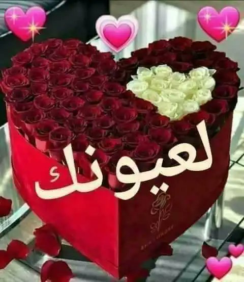 مطلقه نجران Hod 160 Twitter