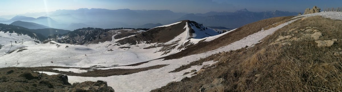 !'amour FC tweet media