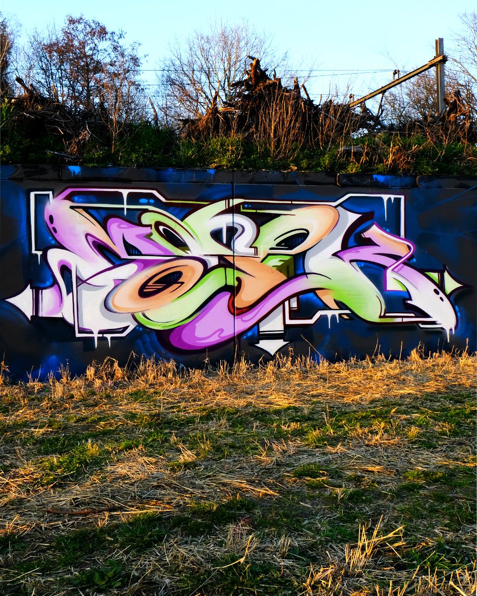Yesterday I painted this wall alongside some dutch graffitimasters dr. Chess, Byz, 3mers and many more.