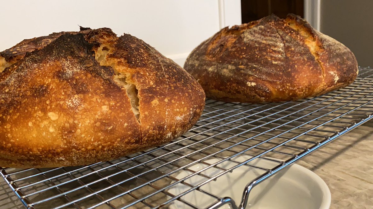 Thanks <a href="/tartinebaker/">chad robertson</a> for introducing my husband to his new hobby!! #TartineBread