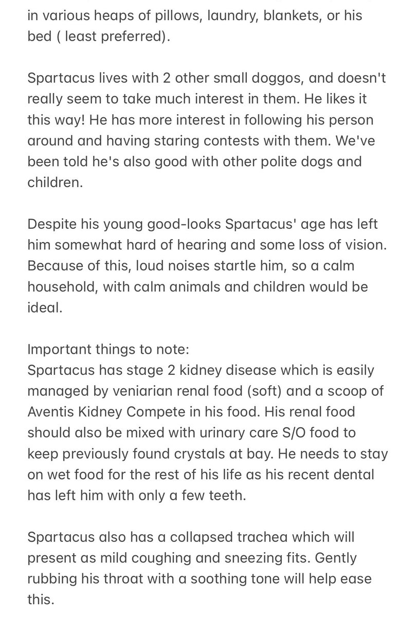 Hi! I’m Spart👋🏼♥️ do you think I’ll make a good addition to your family? I sure hope so!! See my bio for more information about it!

Spartacus
Toy Pomeranian 
14 Year Old Neutered Male

Good w/ dogs
Good w/ cats
Good w/ kids