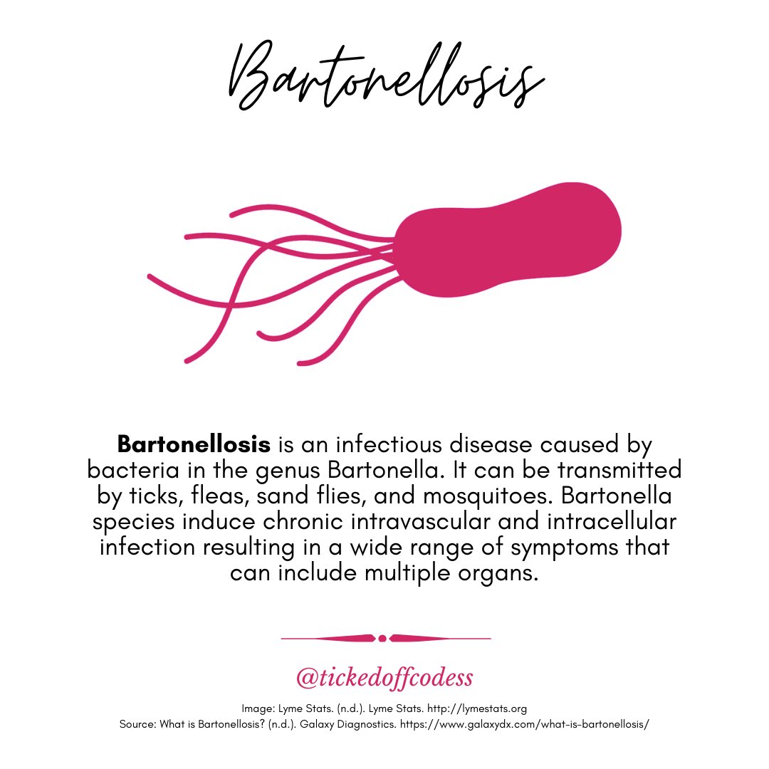 TickedOffCodess's tweet photo. Ticks didn’t just give me Bell’s Palsy, #RelapsingFever and #LymeDisease, they also gave me #Bartonellosis and #Babesiosis. Both of which are considered #RareDiseases. Take a look at the photos below to learn a little more about these rare diseases. https://t.co/L0mHAhew97