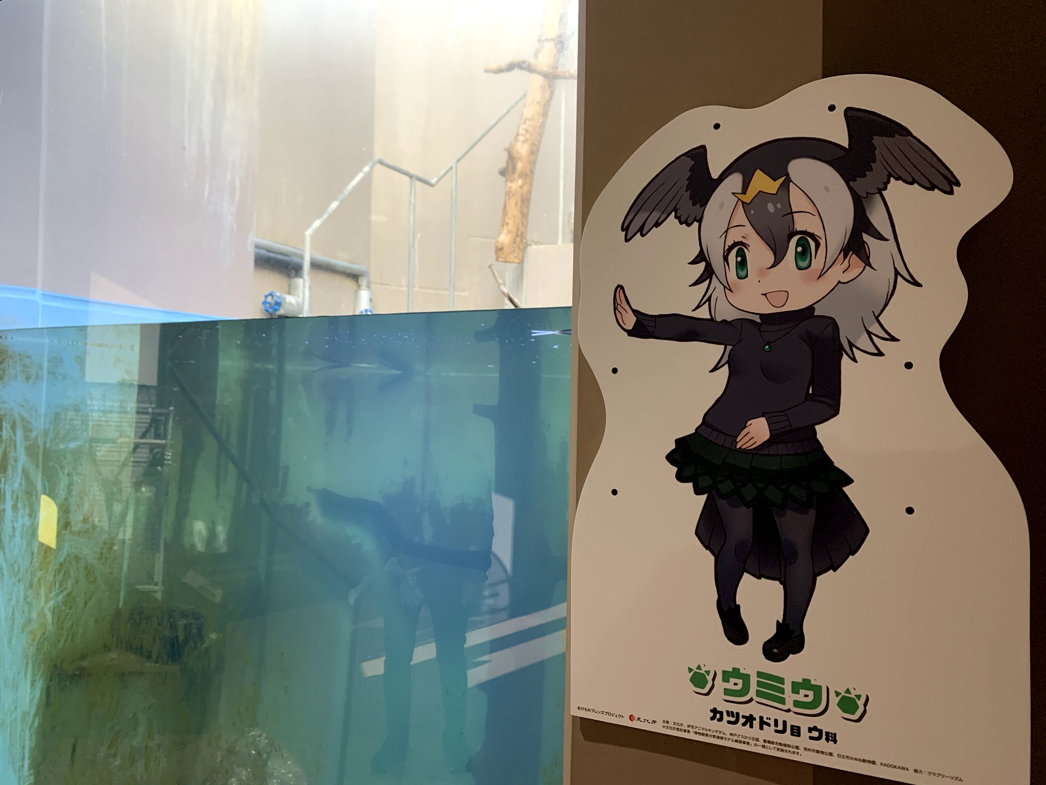 けものフレンズ 公式アカウント V Twitter コラボ開催中 日立市かみね動物園 茨城県 には種類のキャラクターパネルが登場 スタンプ対象動物は ウミウ ロバ ニホンザル カバ アジアゾウ の5種類です T Co Awr4texhkw T Co けものフレンズ 公式アカウント V Twitter コラボ開催中 日立市かみね動物園 茨城県 には種類のキャラクターパネルが登場 スタンプ対象動物は ウミウ ロバ ニホンザル カバ アジアゾウ の5種類です T Co Awr4texhkw T Co