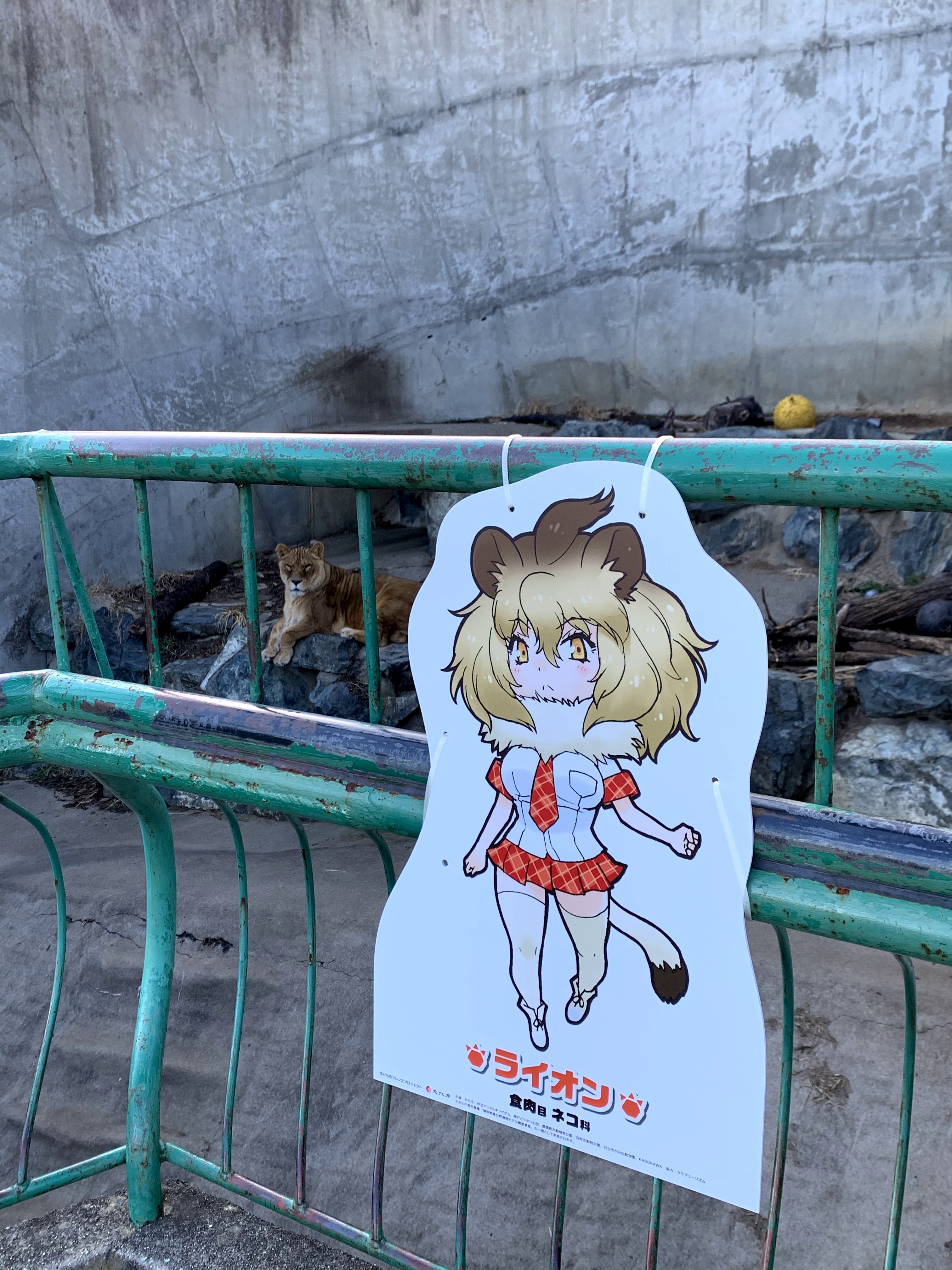 Twitter 上的 けものフレンズ 公式アカウント コラボ開催中 日立市かみね動物園 茨城県 には種類のキャラクター パネルが登場 スタンプ対象動物は ウミウ ロバ ニホンザル カバ アジアゾウ の5種類です T Co Awr4texhkw T