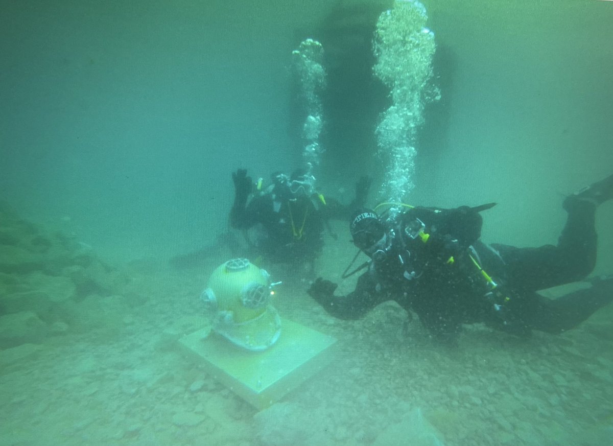 SubCDivers's tweet image. Not long now 🤿who’s getting excited #scubadiving @BSACdivers