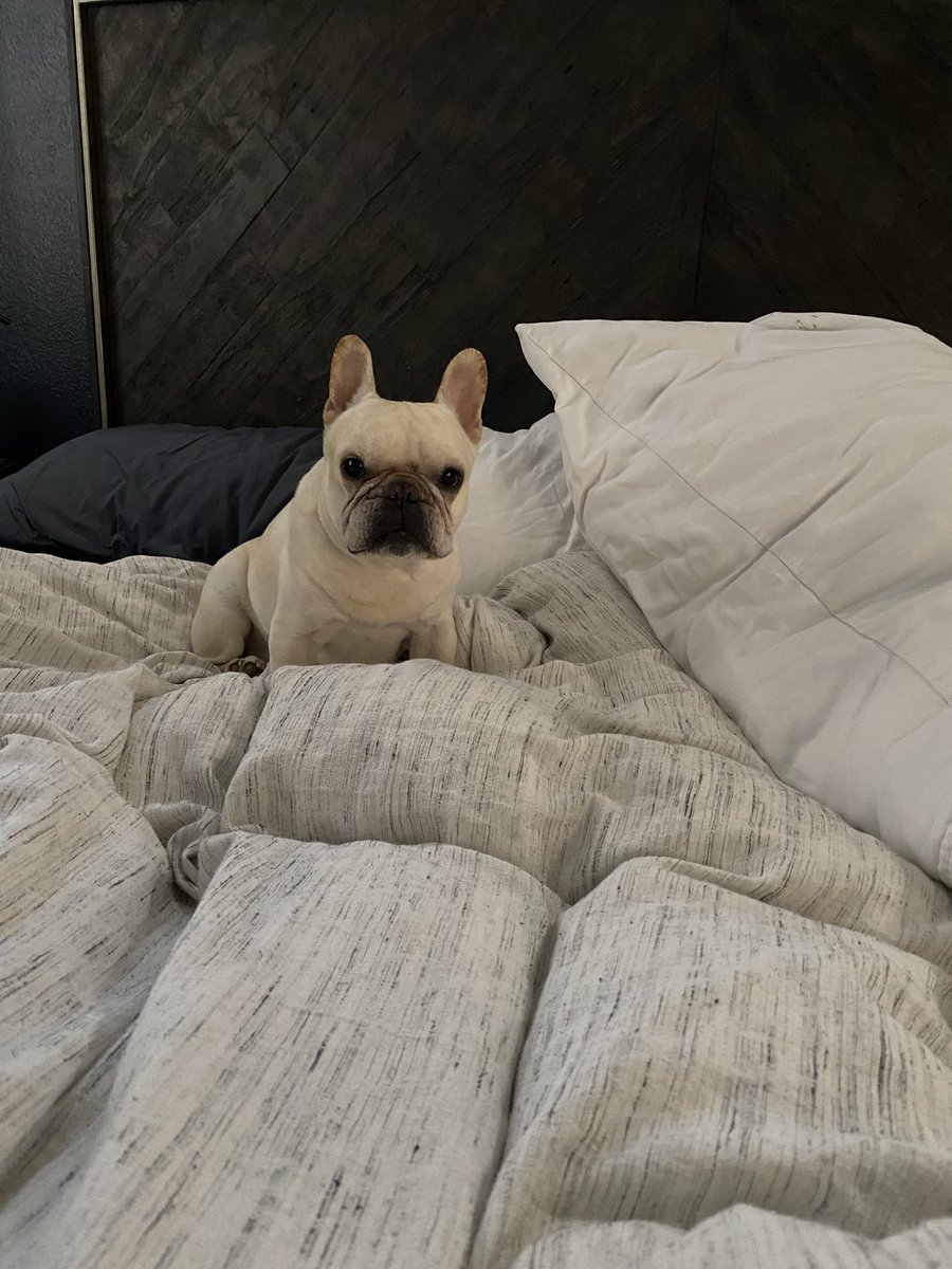 KoKo InVegas tweet media