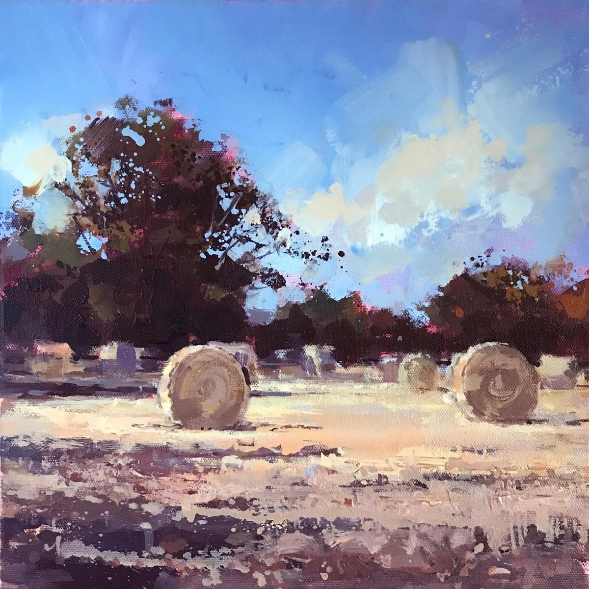 bucksfineart's tweet photo. Sunshine and hay bales with Tony Hinchliffe #newcollection #countryside #walkthroughthefields #availablenow #oilpaintings #originalartwork #haybales #sundaywalks https://t.co/sMc7HgCDYF