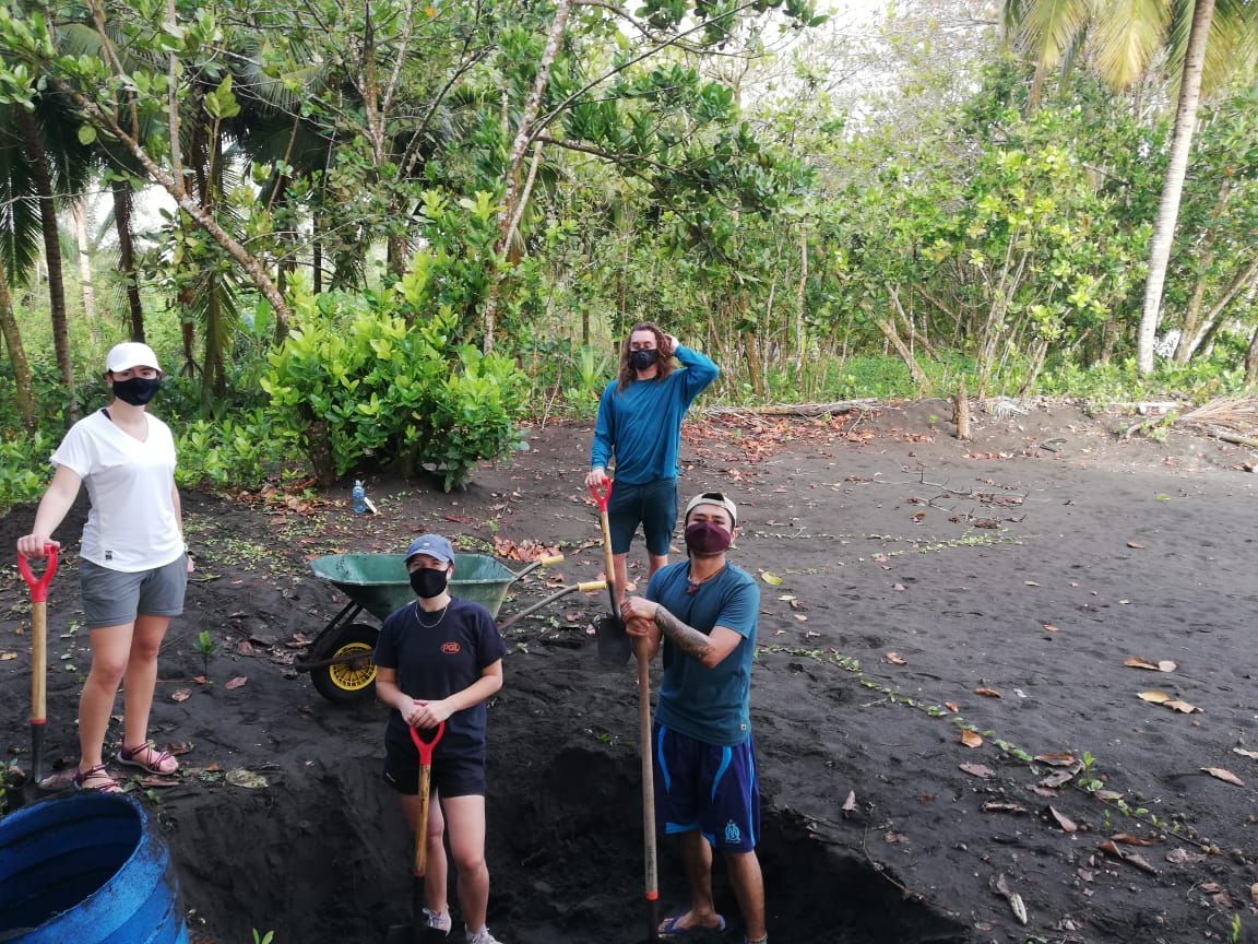 WIDECAST1's tweet photo. Continuing with the construction of the hatchery in #pacuare ready to relocate the nests of the three species of turtles that nest on this beach. Come and join us! 

We are waiting for our first leatherbacks any day now!

#seaturtleconservation  #pacuare #hatchery #volunteer https://t.co/OOYCemamjq