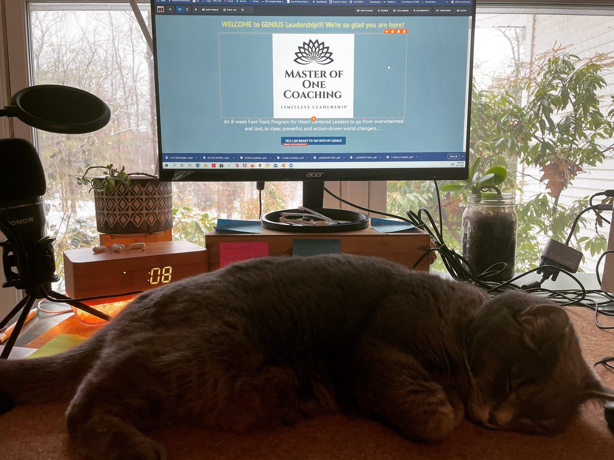 We were told this week that our sweet kitty PeggyLee is not long for this world.  

Even so, she is #helping me prepare for my new group program coming soon! #leadership #masterofonecoaching ⭐️