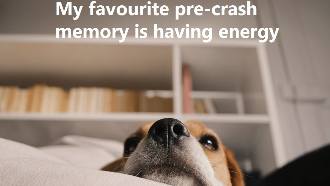 Crashsupportnet's tweet photo. Many times I often find myself thinking back to the absorbent of energy I used to have before my crash but at the same time I now have a better understanding that every step counts. What is your favourite pre-crash memory? #crashsurvivor #precrash #everystepcounts #support https://t.co/22bpfSDlER