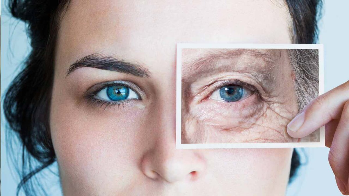 fikafuntimes's tweet photo. ▶️How to use Artificial Intelligence to stop aging!
Via @nigewillson

#AI #ML #HealthTech  #research #Science #daa #deeplearning #Biotech
#FemTech #programming
#100DaysOfCode #Linux
#100DaysOfMLCode

https://t.co/cJ9PMQKqcn 
https://t.co/lTuaJeYxp4
