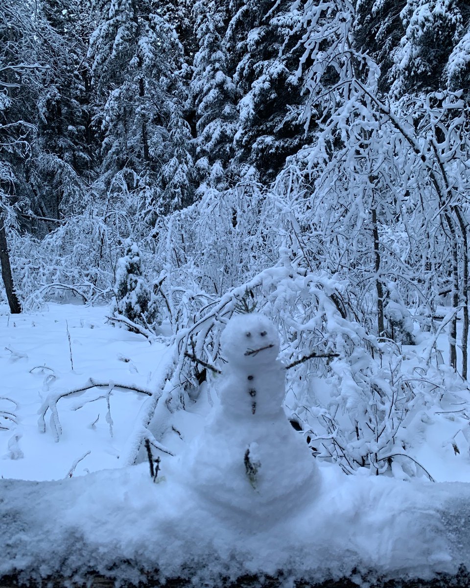 bearspawbakery's tweet photo. #snowart #myjasper #bearspawbakery https://t.co/SJN8ZnqIct