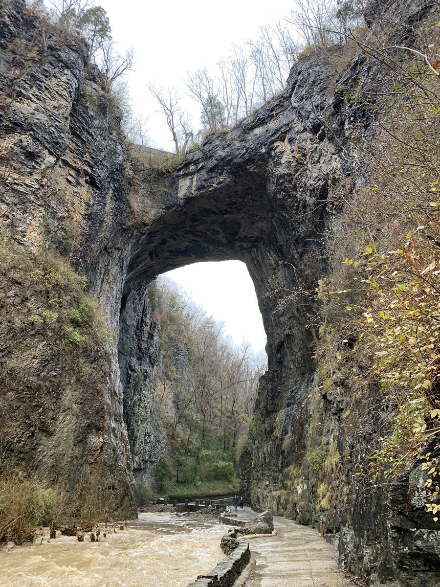 OldtownYY's tweet photo. 先週バージニア��術館でNatural Bridgeに関する展示会をみて、VAにもこんなパワースポットがあるのを知り行ってきた！洞窟とかもあり、ト川沿いのトレイルに癒されました〜

https://t.co/BwSs8m7eg5 https://t.co/t3VihWgeUW