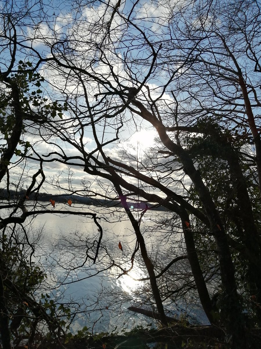 Nice walk round Lough Meelagh today.