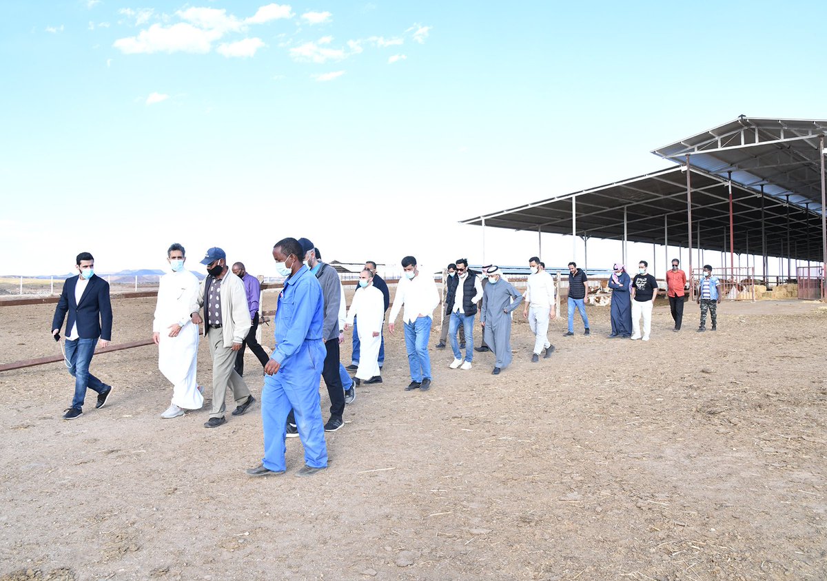 hawelti's tweet photo. Delegation is composed of subcommittees on i) political/diplomatic; ii) economic development; iii) security/defense areas of cooperation.  President Isaias elaborated, at the meeting, bilateral/regional aspects of these themes. Delegation will visit various development programmes https://t.co/QzPHv9KAcq