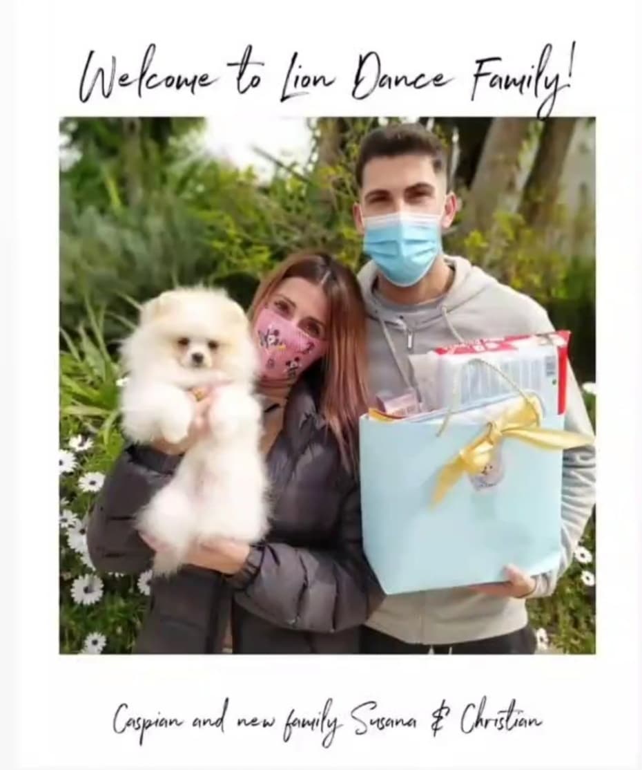 Christian2528L's tweet photo. Ya tenemos a nuestro regalito Pomerania Caspian con nosotros🐶🥰❤ @famydior_ruiz #pomeranian @myh_tv #nuestroamor @YOC_MAGAZINE @telecincoes @BulldogTV_ES #liondance https://t.co/mAI8RH6pH3