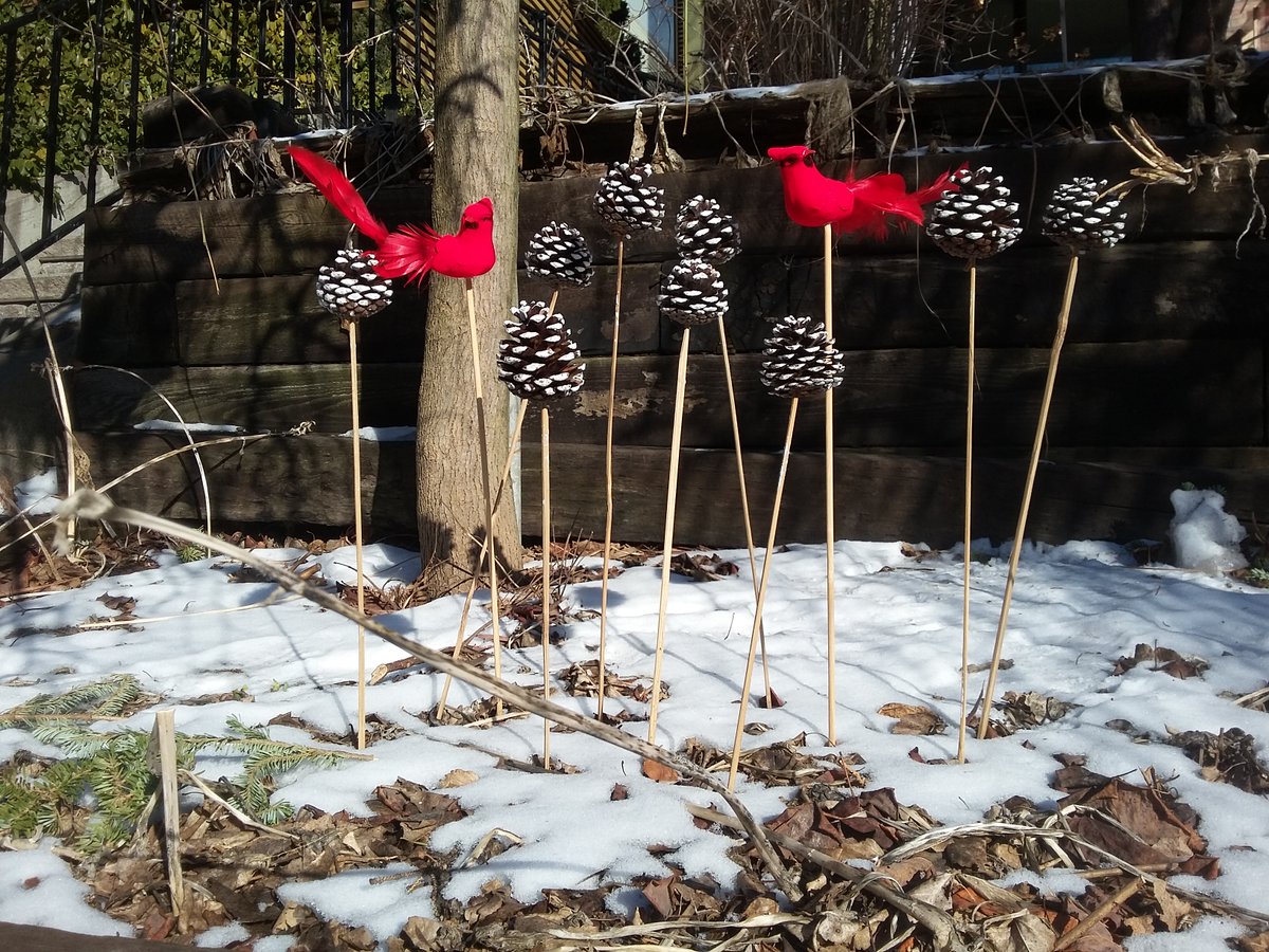 alishainto's tweet photo. I love it when I find something so unexpectedly cheerful while taking a stroll in my very own neighbourhood!
#lockdownfitness #Toronto #keepmoving https://t.co/FcOGKqhGZO