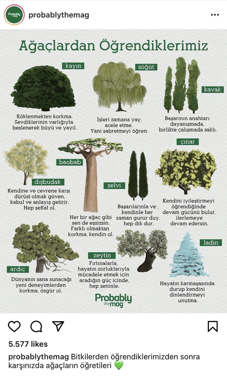 oozanx's tweet photo. Çok güzel 😊 @probablythemag https://t.co/nKJlFadpJM https://t.co/CSSTHxY250