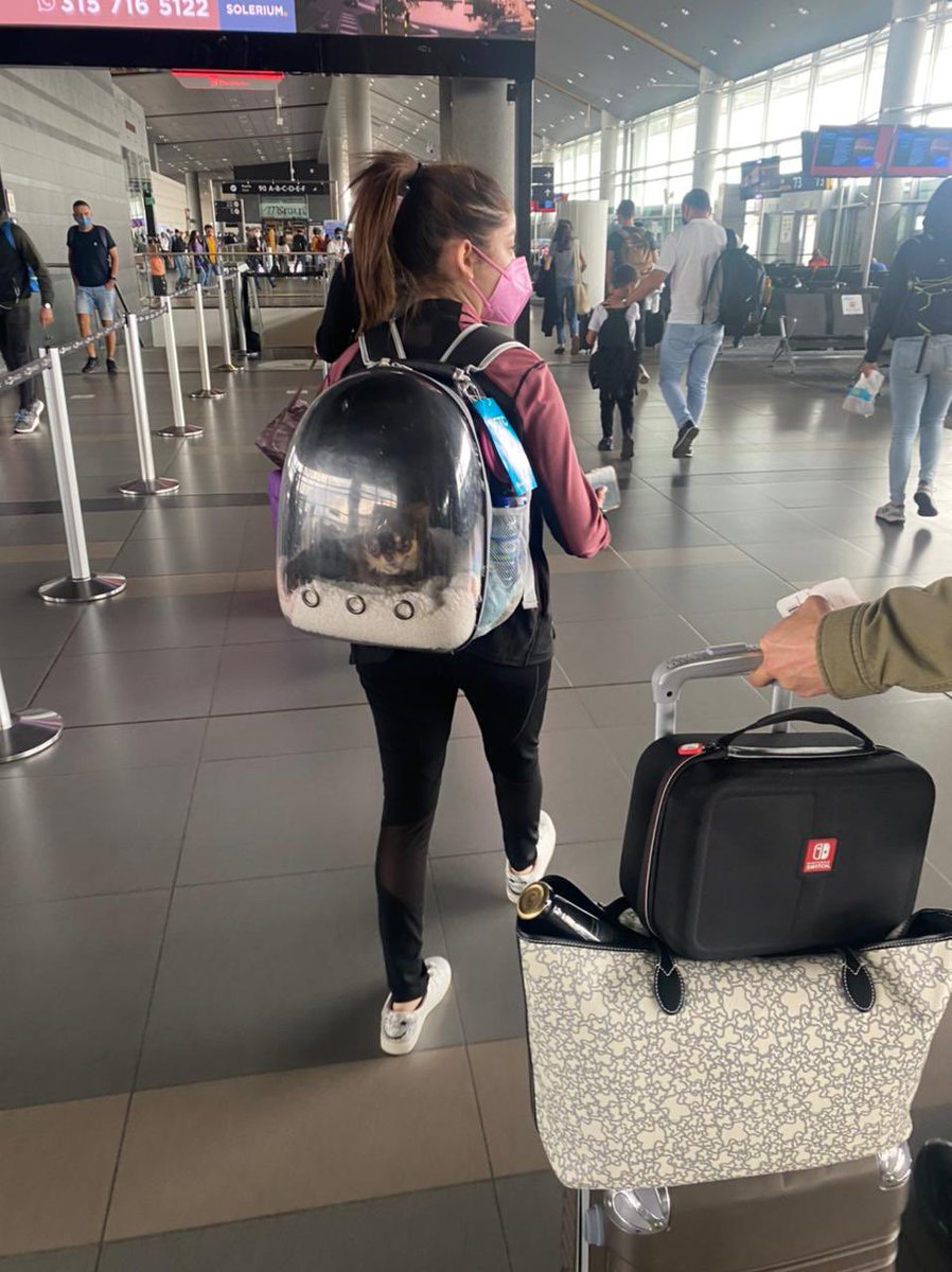 colordekarol's tweet photo. Karol mañana comienza con las grabaciones de su nuevo proyecto y no puedo estar más orgullosa de ella, verla crecer, tan lindo poder ser parte de esto,  seguir apoyándola en cada meta que se propone, comienza una nueva aventura y se que la va a romper 🥺🤍 https://t.co/Tt1UQxR8ur