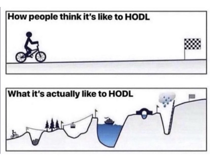 TheCryptomath's tweet photo. Les nouveaux entrants découvrent petit à petit ce que c’est que de #HODL https://t.co/36mEj7XGzf