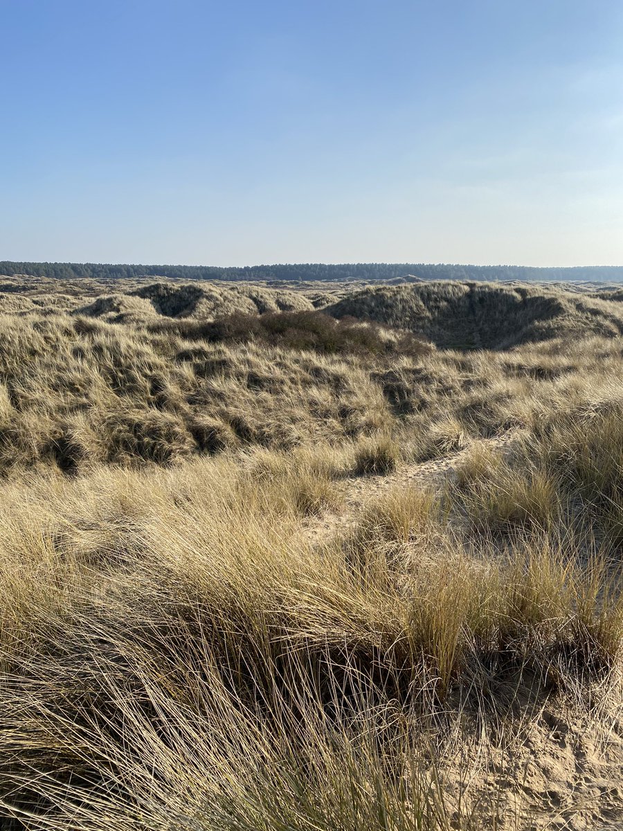 clareastles's tweet photo. Sunshine and sea kind of day #walkingsbrill @walkingsbrill https://t.co/AhXqdmFCbm