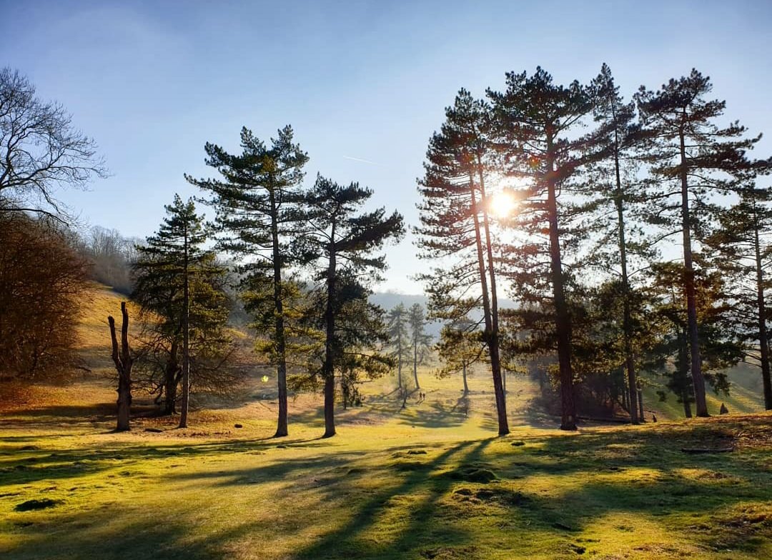 Wordsmiffy's tweet photo. What a difference a couple of weeks makes. Brown turning slowly green. Lucky to have this on my doorstep. https://t.co/a9U2LH725Z