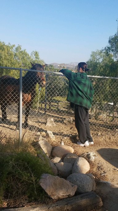 i had to talk to him to get him comfortable, but he eventually came over and let me love him 🥺🥺 https://t