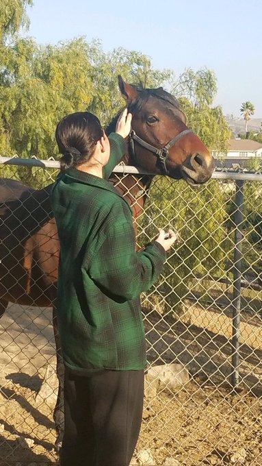i had to talk to him to get him comfortable, but he eventually came over and let me love him 🥺🥺 https://t