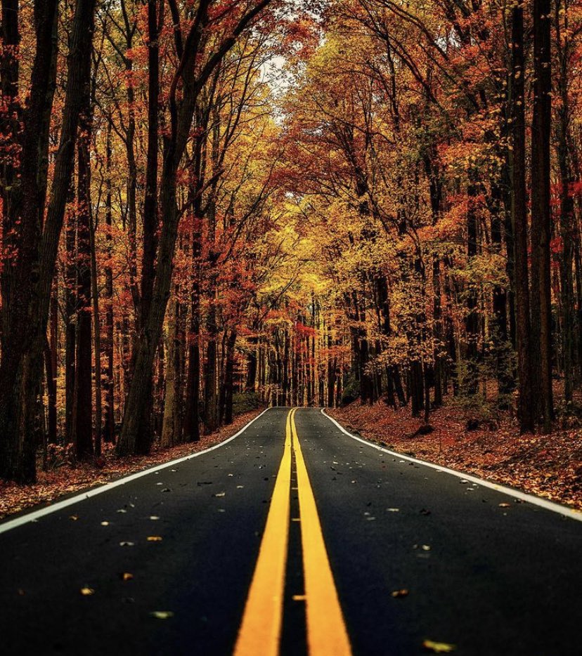 HustleHarderNet's tweet photo. Today’s Feature:
IG: proiesworld
we love the outdoors, enjoy some of these visuals & follow for more!
#photography #outdoors #artofvisuals #wizardoftones #roam #depthobsessed #explorepage #HustleHarderEntertainment https://t.co/HarBYWQh6X