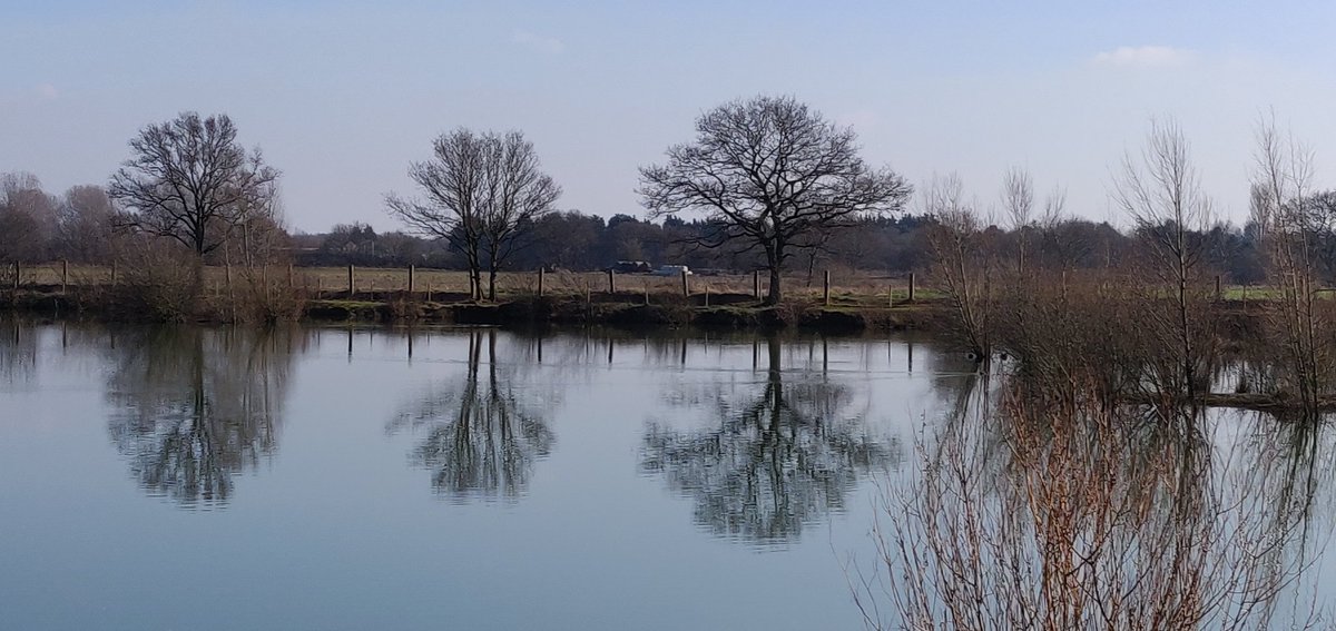 Prof Janine Kirby tweet media