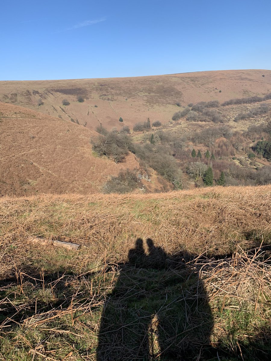 Mairebc's tweet photo. Fabulous mountain walk today. #WalkingKeepsUsSane #ExerciseFromHome https://t.co/8TCsiJ2oU3
