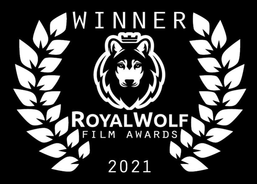 OMCFilm's tweet photo. 2 WINS for the tie-in music video for HURT by @MiaZanotti https://t.co/kpOiY8YtFV
