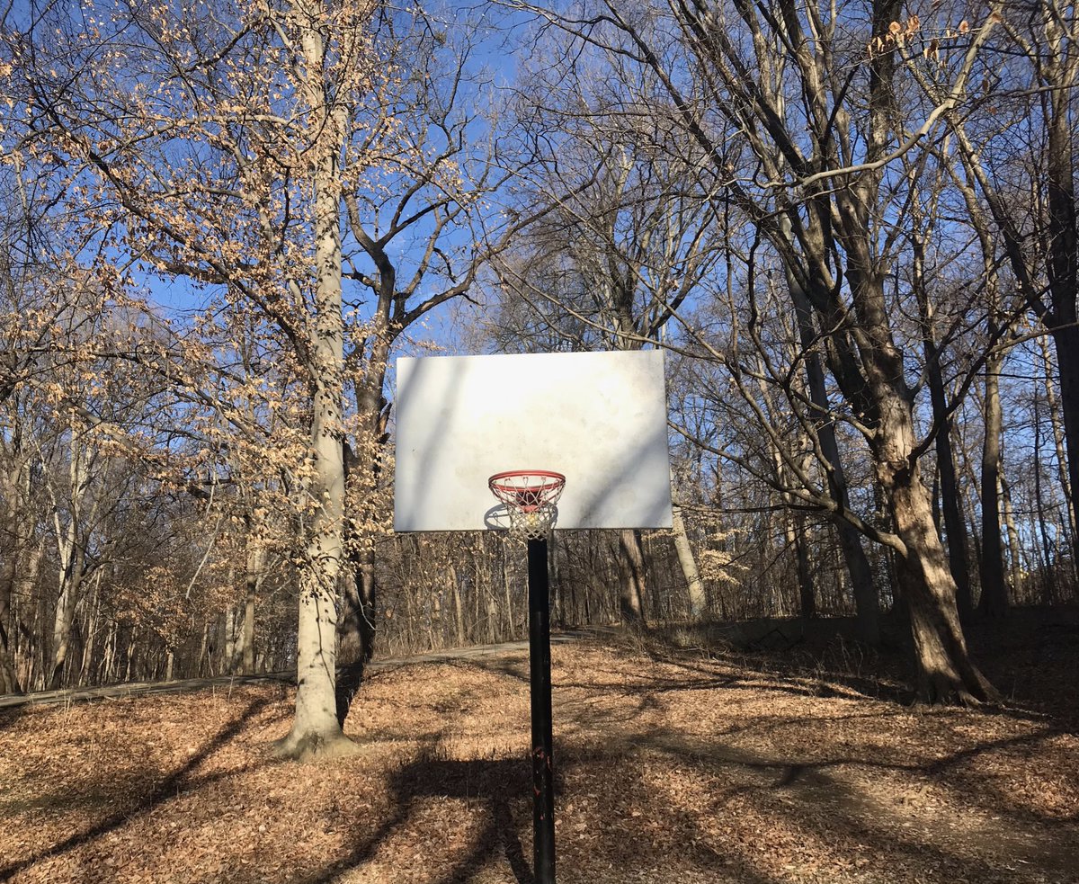 HayesGardner's tweet image. Basketball rims are now back up at parks around Louisville.