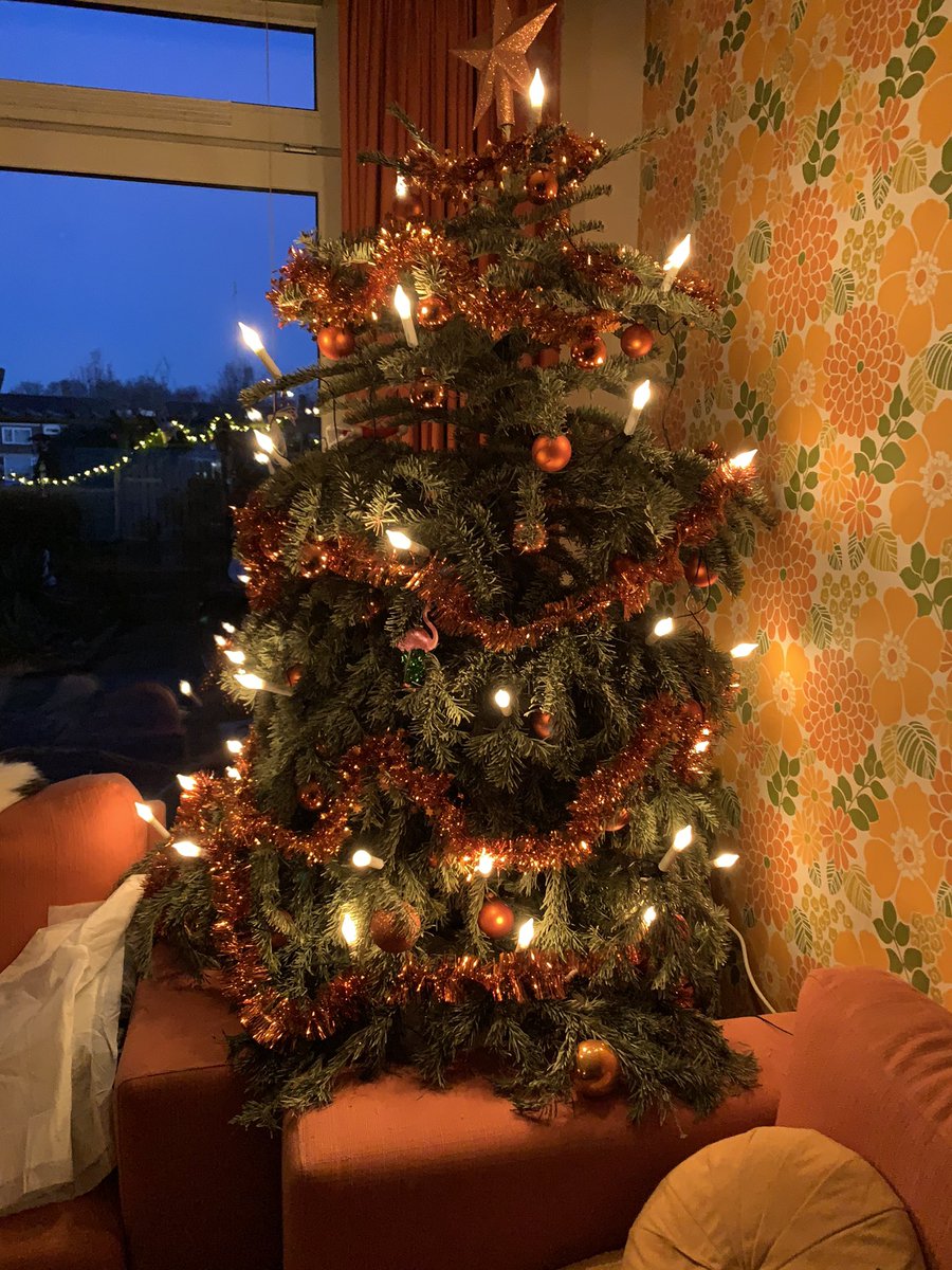 Beste <a href="/MinPres/">Dick Schoof</a>, wij hebben thuis afgesproken dat we de kerstboom pas wegdoen als de lockdown voorbij is.

Dus als u mij een plezier wil doen: de naaldjes beginnen namelijk uit te vallen...