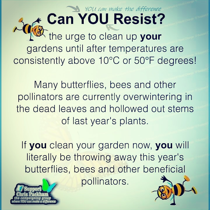 #beekind #ethicalgardening #compassionategardener #adaptspaces #supportwildlife #supportnaturalsystems #savethepollinators #strengthenbiodiversity