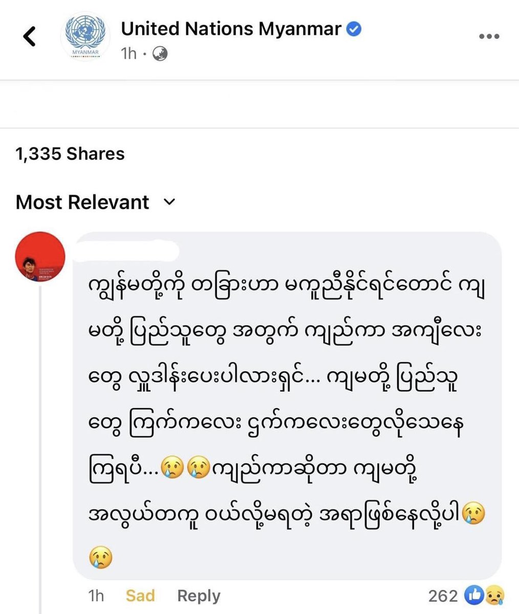 Dear UN ! 
Even if no one else can help and protect us, Could you please donate Some bulletproof vests for our people.Our people are dying every day,Military shoot the civilians like small animals, bird and chickens.Bulletproof vests are something that we can not easily buy here.