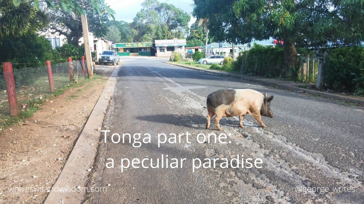 GeorgeWolves's tweet image. Been reading old #travelblogs on my site, I wish I&apos;d written more bc it&apos;s amazing having these (mostly hilarious) memories so vividly recorded.
To be briefly transported to the funniest (and only) Pacific island I&apos;ve ever been to: wolveswitandwisdom.com/2016/08/15/ton… #travelling #travelwriter