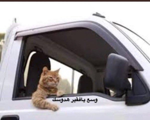 alaawy52's tweet photo. @AlShababSaudiFC https://t.co/DyaSvRxjtr