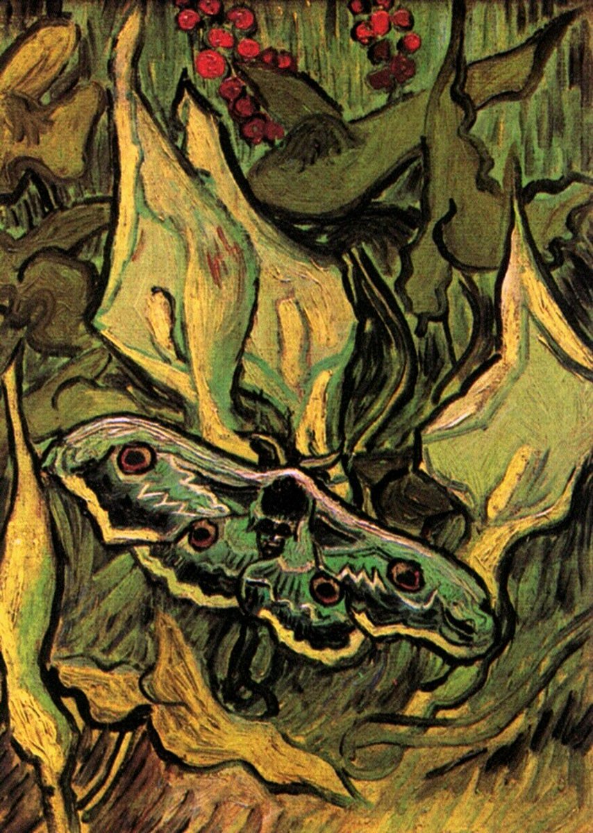 RT @vangoghartist: Great Peacock Moth, 1889 #vincentvangogh #postimpressionism https://t.co/2ZLo7DAcBd