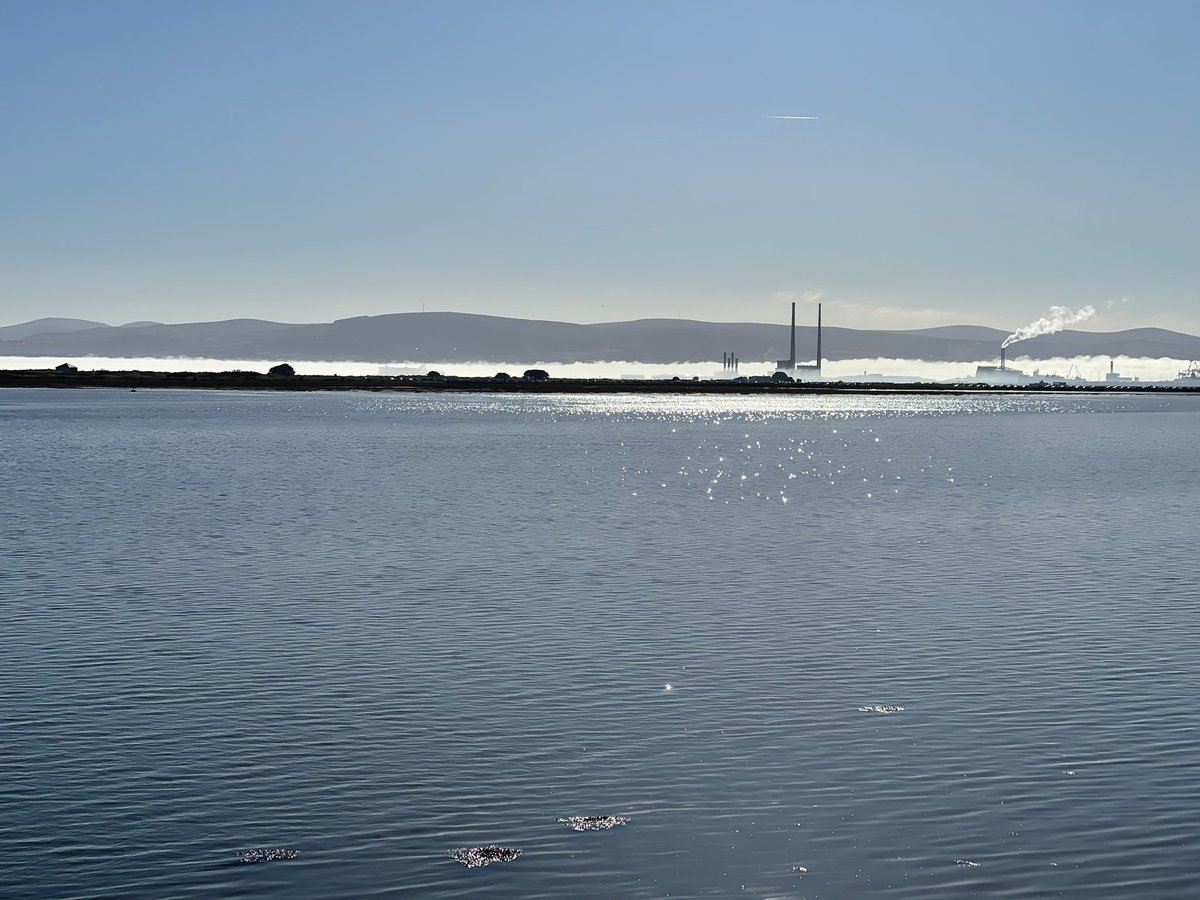 PatrickMooney's tweet photo. Lovely fog covering Dublin Bay earlier today. #SpringInDublin https://t.co/4xxpgtTB6V
