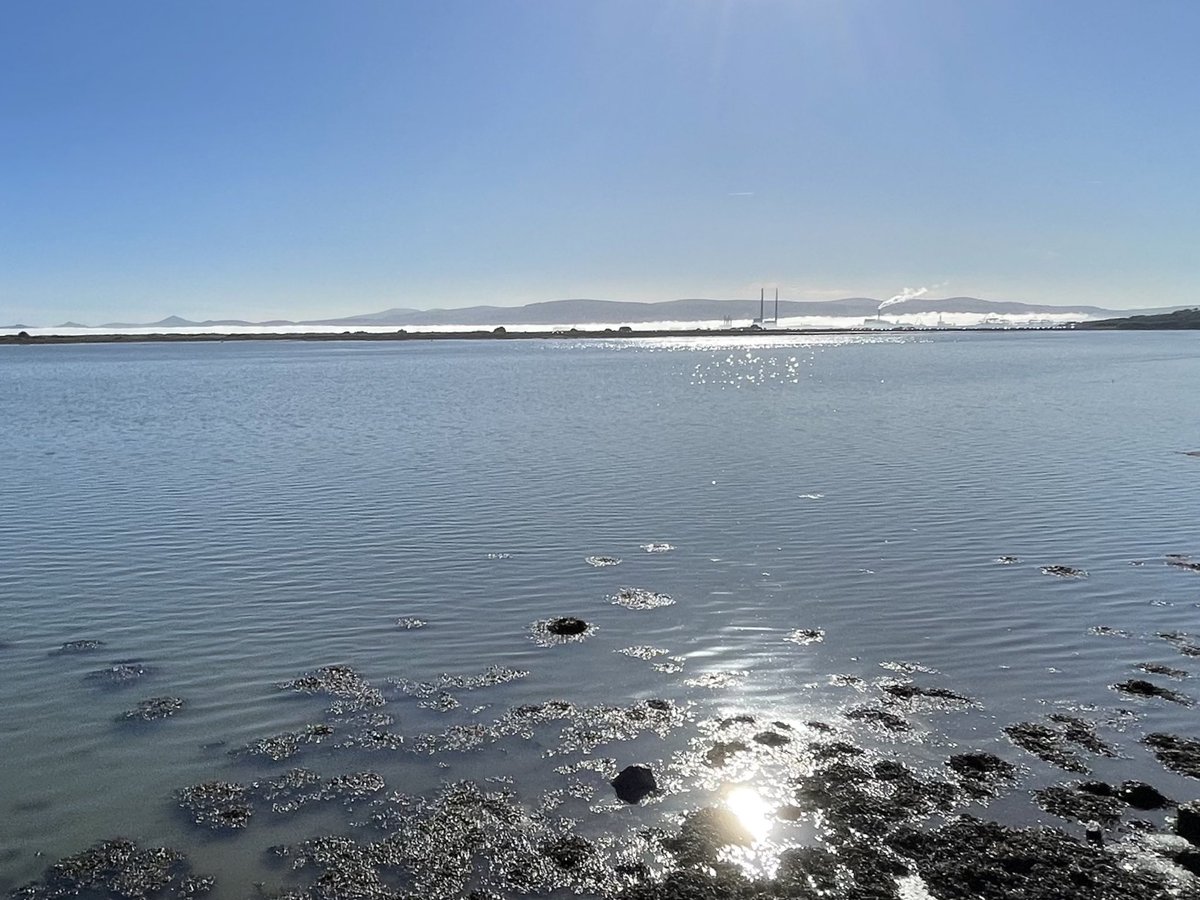 PatrickMooney's tweet photo. Lovely fog covering Dublin Bay earlier today. #SpringInDublin https://t.co/4xxpgtTB6V