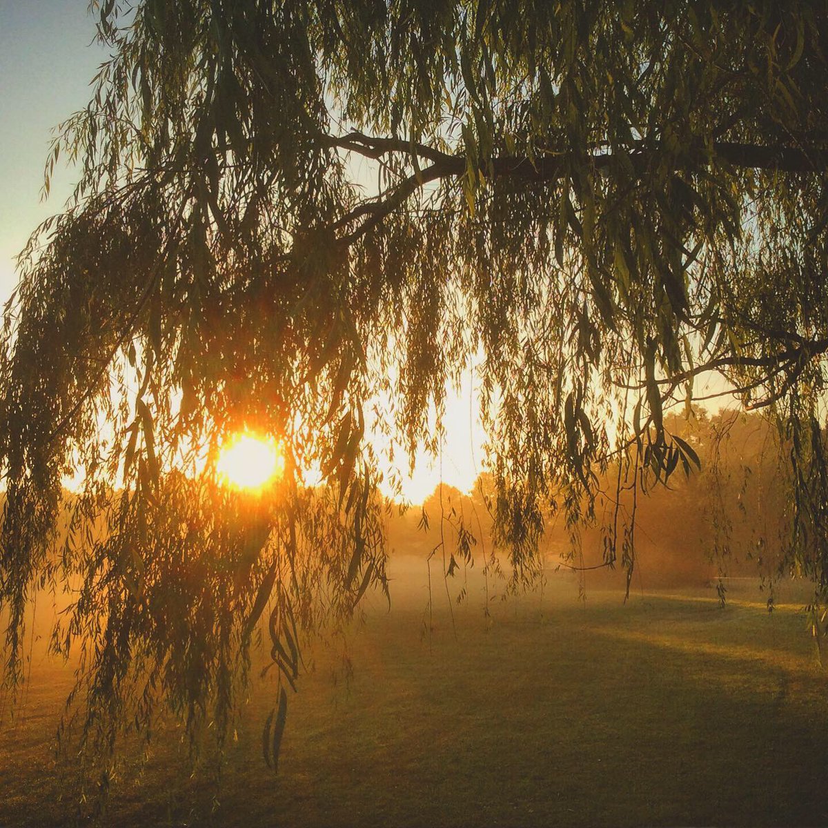 thecastperilous's tweet photo. Full disclosure. #pinkfloyd song, “Cirrus Minor” with it’s birdsong &amp; idyllic sunny psychedelia, was heavily on my mind when describing Beatrice &amp; Dell’s afternoon in the old lichyard back in Episode 1. Of course, when the sun went down, things began to change... #thecastperilous https://t.co/xsIOdvfJBK