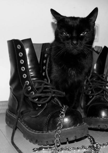 acid666host's tweet photo. it's not just a phase mom https://t.co/iG89VtffPv
