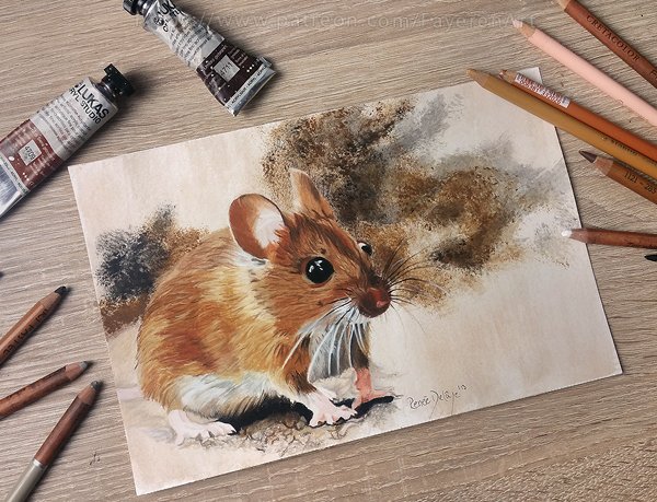 #Mouse | Soft pastel portrait. Decoration painted with #acrylic . 
#mousedrawing #mousepainting #traditionalart #softpastelpainting #animalportrait