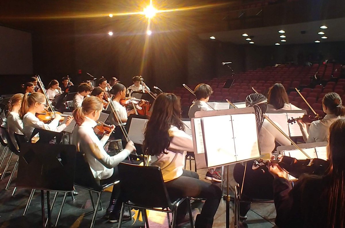 BelCantoStrings's tweet photo. Last year at this time we were on stage rehearsing for #StringsFest2020, Celebrating Black Composers.
...
#BlackisClassical
#hamarts #hamiltonmountain #hamontmusicscene https://t.co/6mjzfnzaFc