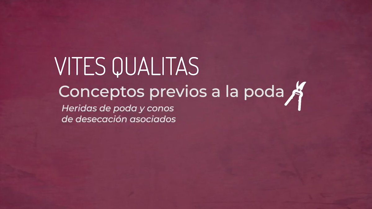 Aunque tenemos todo muy ordenadito en nuestro canal de #YouTube, en el hilo encontraréis los 2⃣ vídeos sobre conceptos previos a la poda 📽️✂️🍇

📶Adentro hilo ▶️