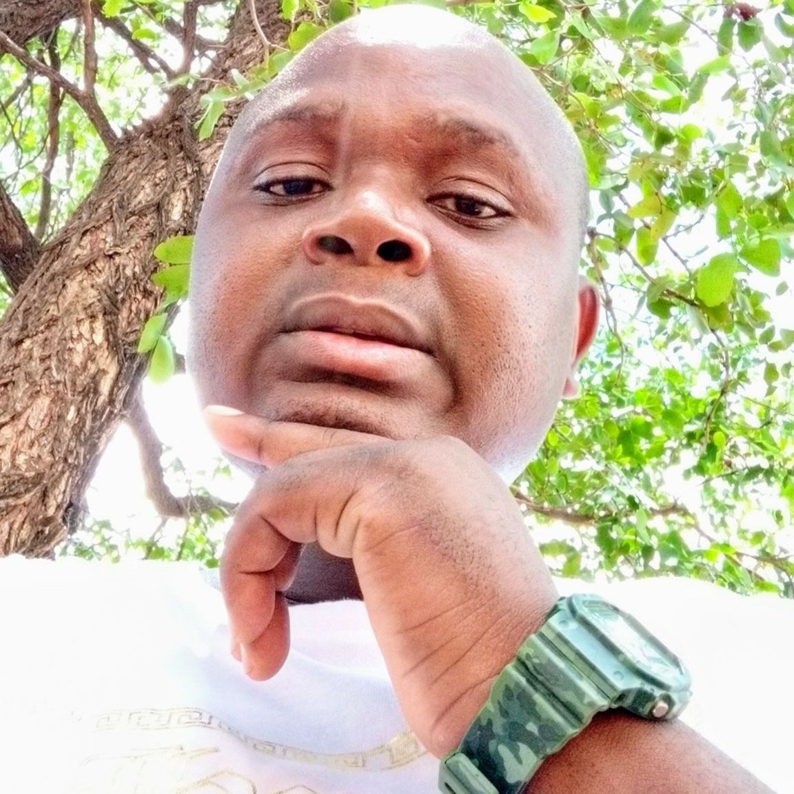 oom_petrus's tweet photo. #NewProfilePic https://t.co/LkhJ22UI61